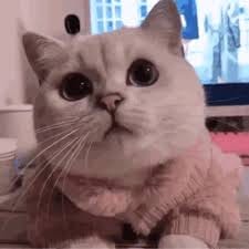 กิตติ ธนสุข avatar